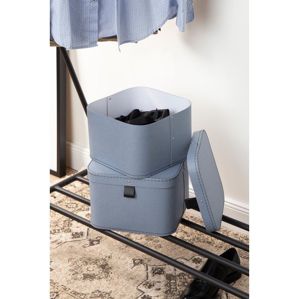 Картонени кутии за съхранение в комплект от 2 броя с капак Ludvig - Bigso Box of Sweden-image-1