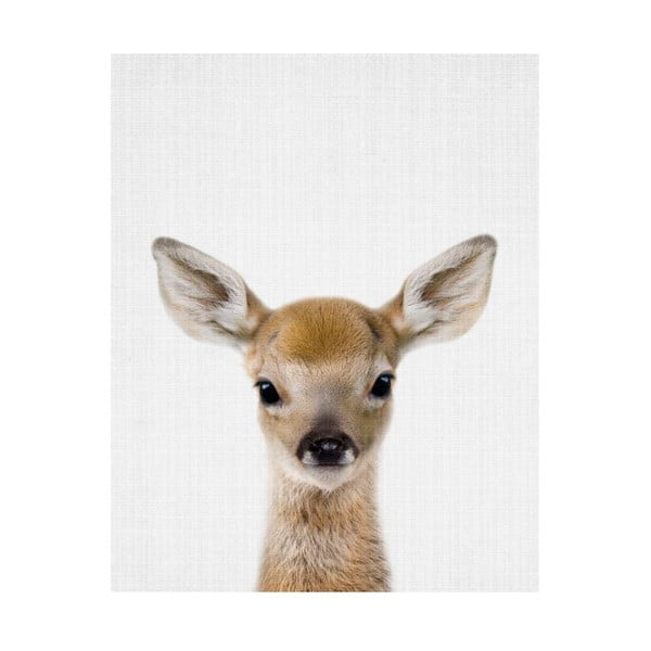Plakát Blue-Shaker Baby Animals Deer, 30 x 40 cm