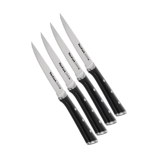 Комплект ножове за пържоли от неръждаема стомана 4 бр Ice Force - Tefal