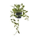 Изкуствено растение (височина 33 cm) Hoya Carnosa – House Nordic