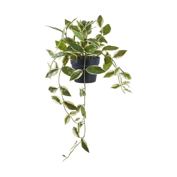 Изкуствено растение (височина 33 cm) Hoya Carnosa – House Nordic