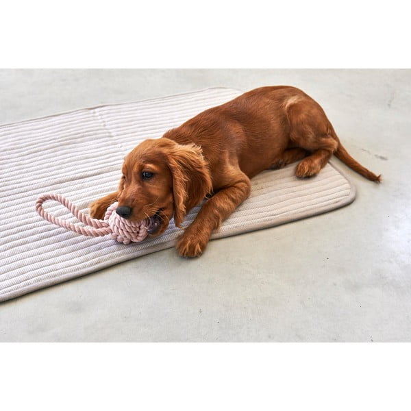 Сиво памучно одеяло за куче 60x80 cm Onda Greige S – MiaCara-image-3