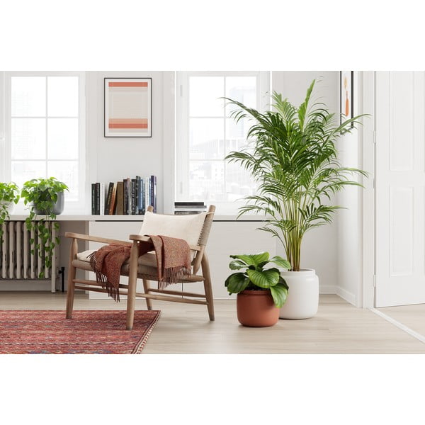 Керамична ръчно изработена саксия за цветя ø 20 cm Astrea – Artevasi-image-3