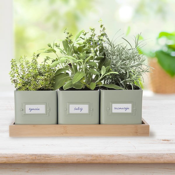 Метални саксии за билки в комплект от 3 бр. Greenish – Orion-image-1