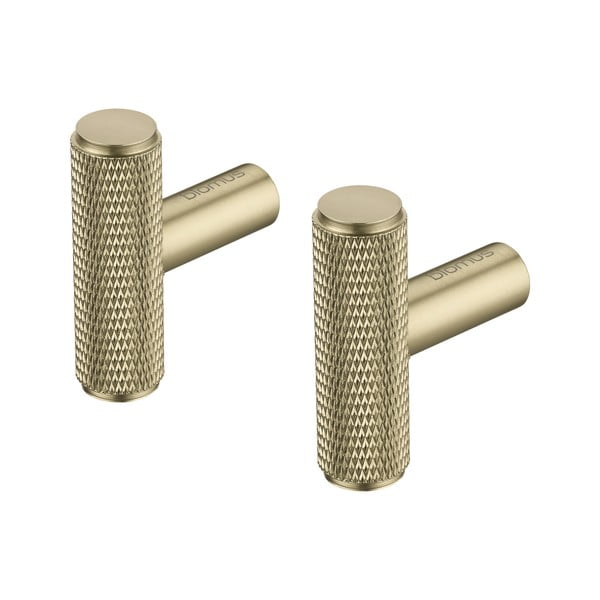 Стенни метални куки в комплект от 2 бр. в месингов цвят Rof – Blomus