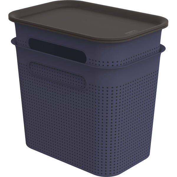 Тъмносини пластмасови кутии за съхранение в комплект от 2 бр. с капаци 18,5x27x26 cm Brisen – Rotho