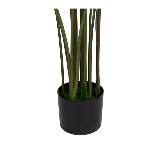 Изкуствено растение (височина 150 cm) Calathea – Ixia-image-1