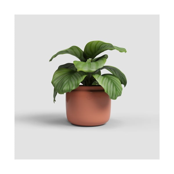 Керамична ръчно изработена саксия за цветя ø 20 cm Astrea – Artevasi-image-1