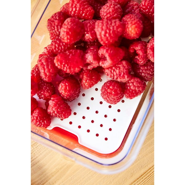 Пластмасов органайзер за хладилник Cauma – Rotho-image-3