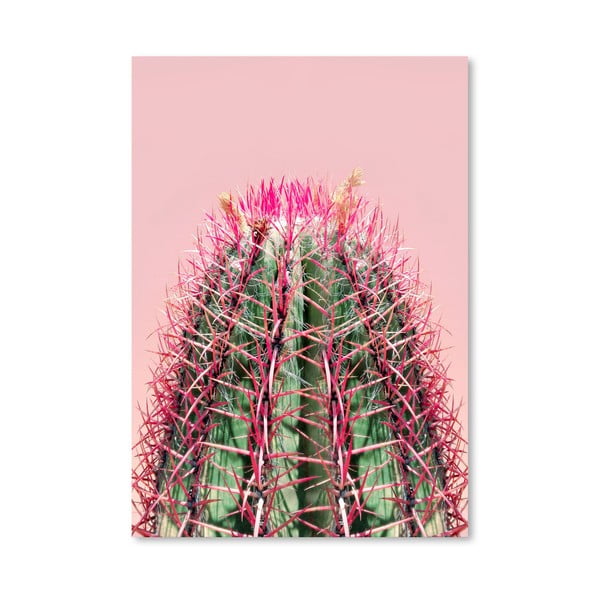 Plakát Americanflat Cactus On Pink, 30 x 42 cm