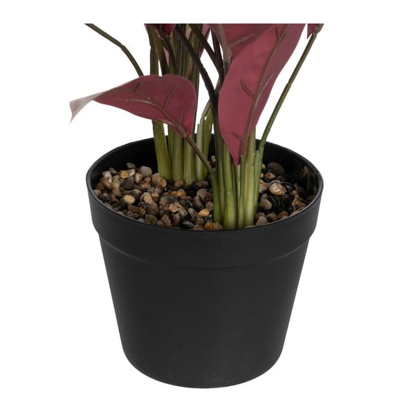 Изкуствено растение (височина 55 cm) Bird of Paradise – Ixia-image-2