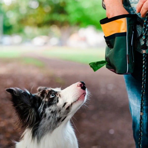 Торбичка за лакомства Deluxe Moss - P.L.A.Y.-image-1