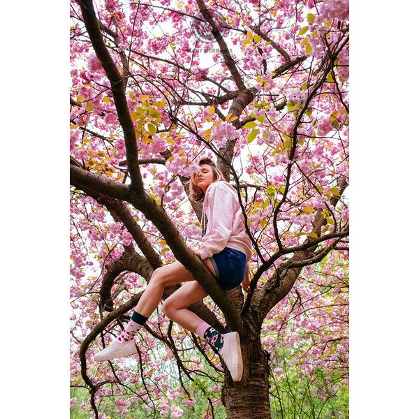 Чорапи Cherry Blossom, размер 35-38 - Many Mornings-image-1