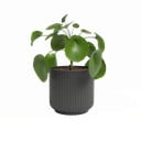 Керамична саксия за цветя ø 15 cm Luna – Artevasi