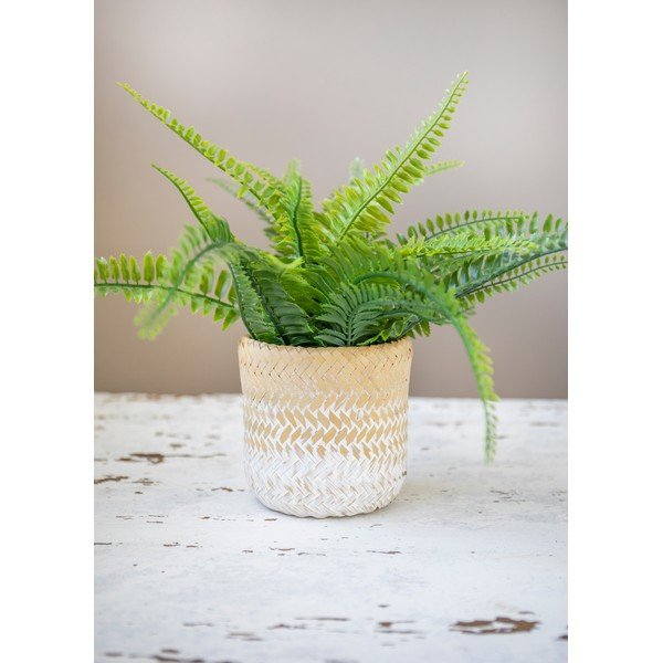 Саксия с цветя от морска трева Ombré - Kitchen Craft-image-4