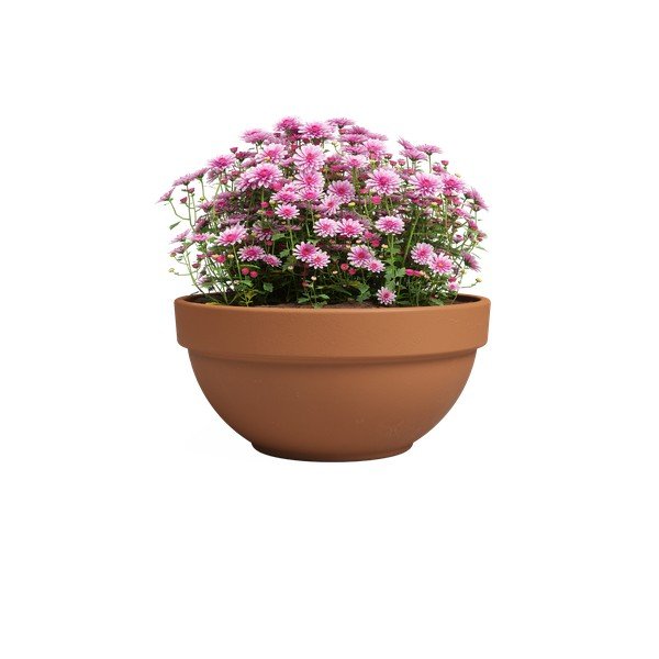 Теракотена саксия за цветя ø 20 cm Amalia Campana – Artevasi-image-2