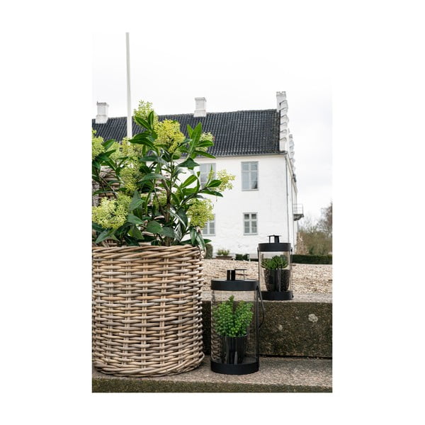 Изкуствено растение Skimmia - House Nordic-image-4