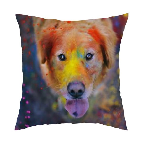 Polštář Colorful Dog, 40x40 cm