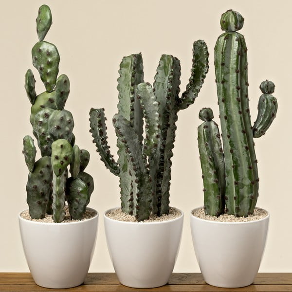 Sada 3 dekorativních kaktusů s květináčem Boltze Tusca