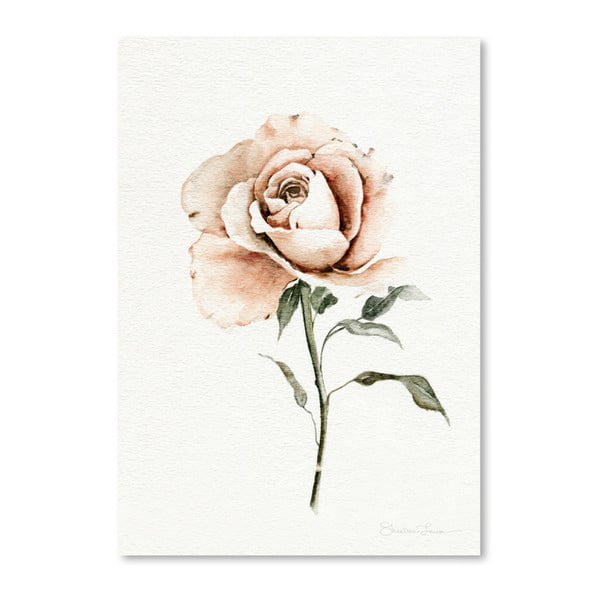 Плакат Единична прасковена роза от Шилин Луиз, 30 x 42 cm - Americanflat