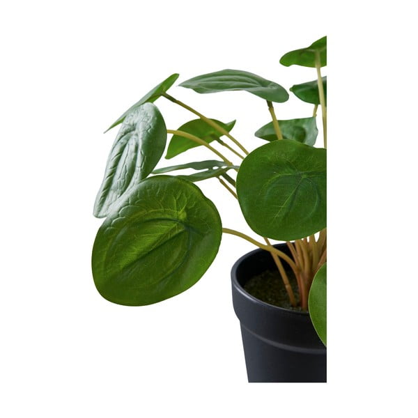 Изкуствено растение (височина 28 cm) Pelia – House Nordic-image-4