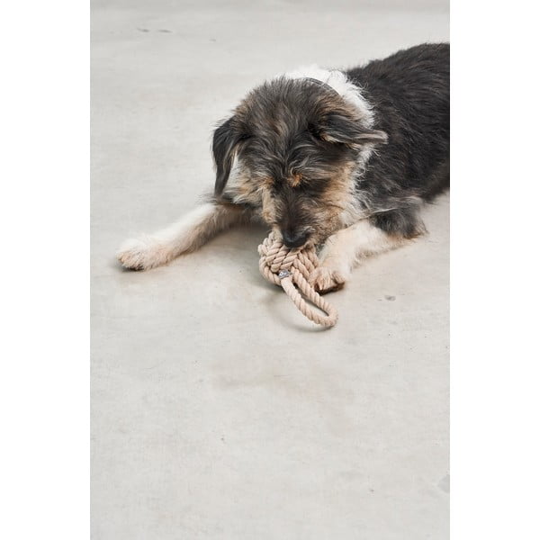 Играчка за куче Nodo Greige – MiaCara-image-1