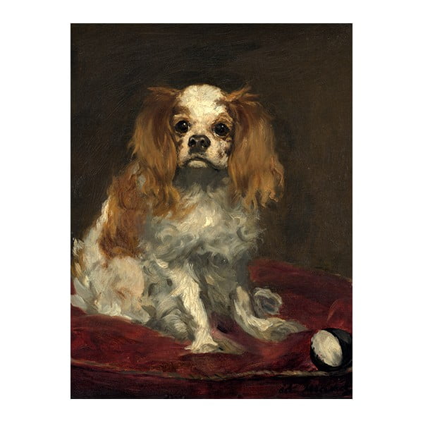 Репродукция на картина 30x40 cm A King Charles Spaniel - Fedkolor