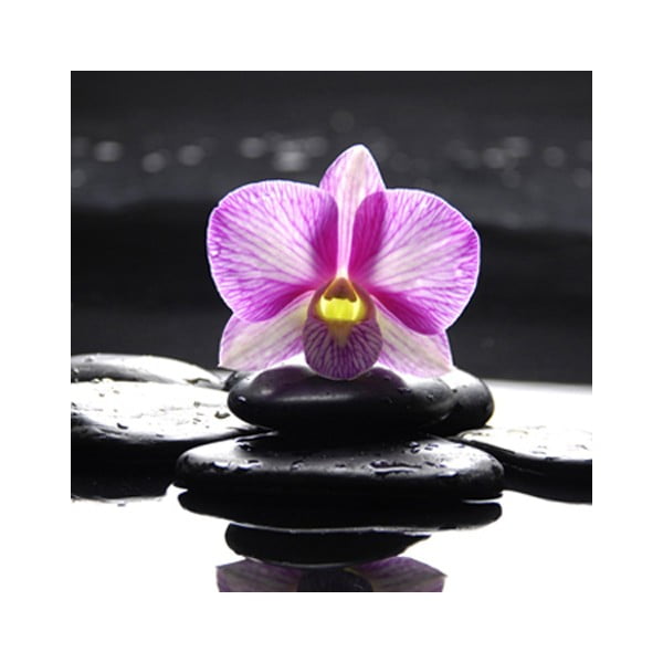Obraz na skle Orchidej Zen I, 50x50 cm