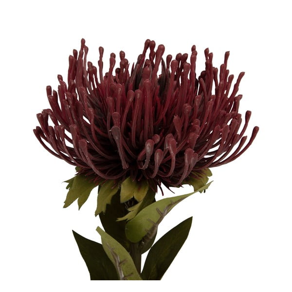 Изкуствено цвете (височина 60 cm) Protea – PT LIVING-image-1