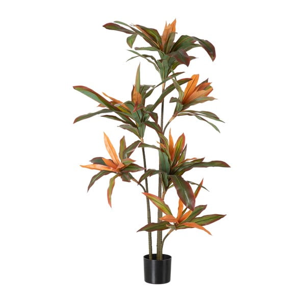 Изкуствено растение (височина 140 cm) Dracena – Ixia