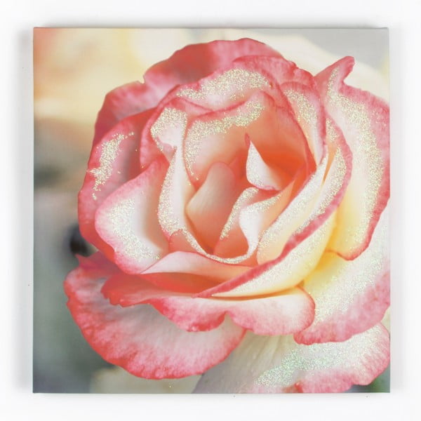 Obraz Graham & Brown Pink Petal, 50 x 50 cm