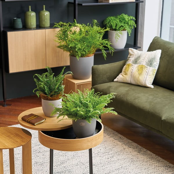 Керамичен съд ø 24 cm Basel Stone - Big pots-image-1