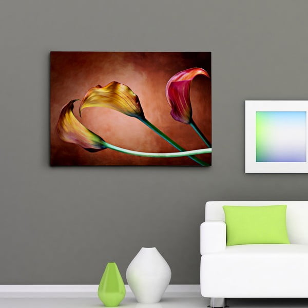Obraz na plátně Kaly hrající barvami, 50x70 cm