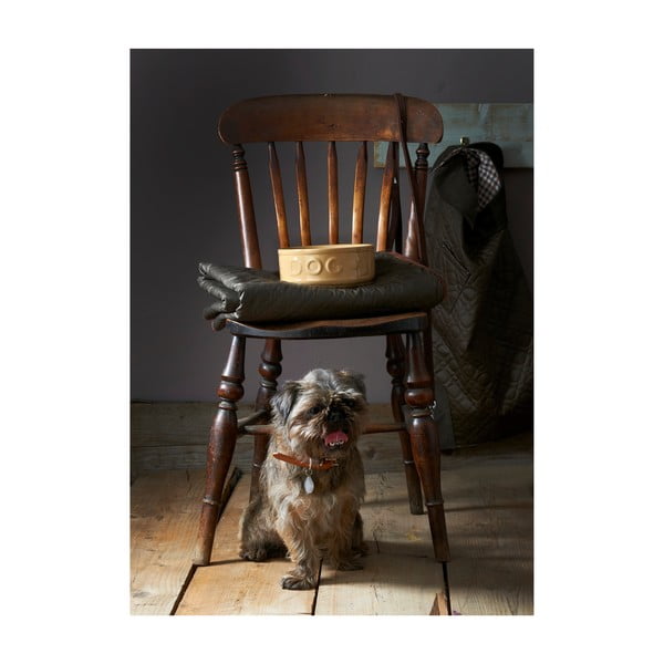 Каменна купа за кучета , ø 25 cm Pet Cane Dog - Mason Cash-image-2