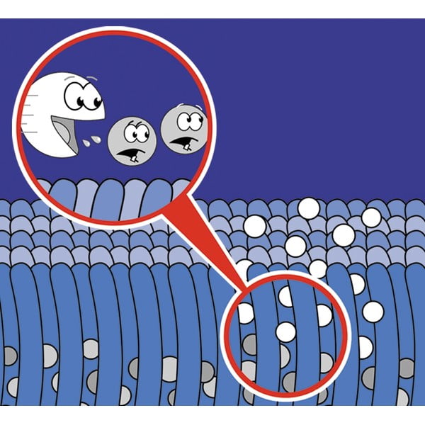 Спрей за почистване на килими 500 ml Nano - Maximex-image-1
