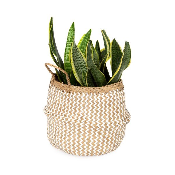 Кошница за съхранение от светла морска трева , ⌀ 27 cm Zic Zac - Compactor-image-1