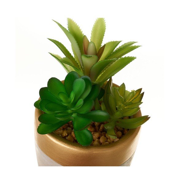 Изкуствени растения в комплект от 4 броя (височина 17 см) Cactus - Casa Selección-image-1