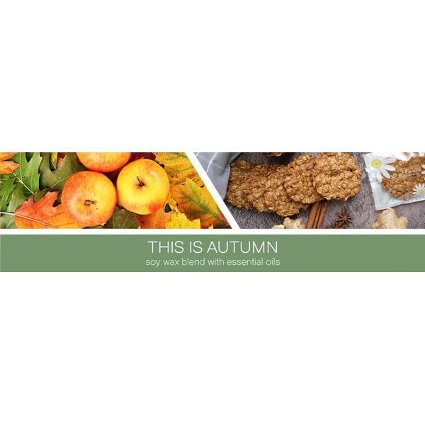Свещ от соев восък с време на горене 35 h This Is Autumn – Goose Creek-image-1