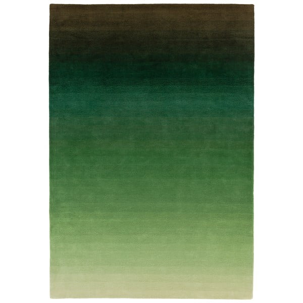 Зелено-сив килим , 160 x 230 cm Ombre - Asiatic Carpets