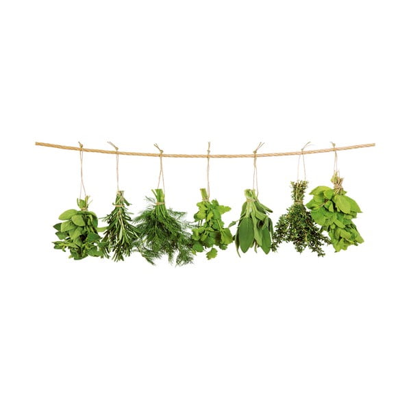 Skleněný obraz Hanging Herbs, 30x80 cm