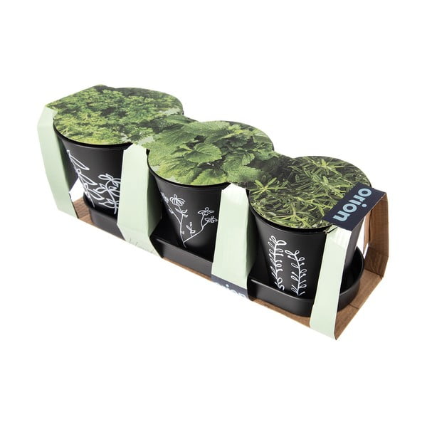 Метални саксии за билки в комплект от 3 бр. ø 11 cm Black – Orion-image-3