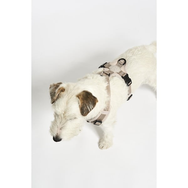 Бежова каишка S дължина 30 cm Modena Greige S – MiaCara-image-2