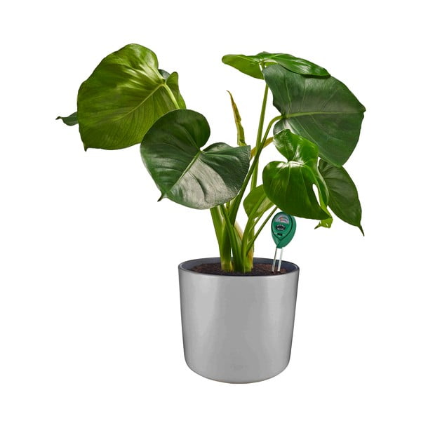 Ph тестер за почва – Garden Pleasure-image-1