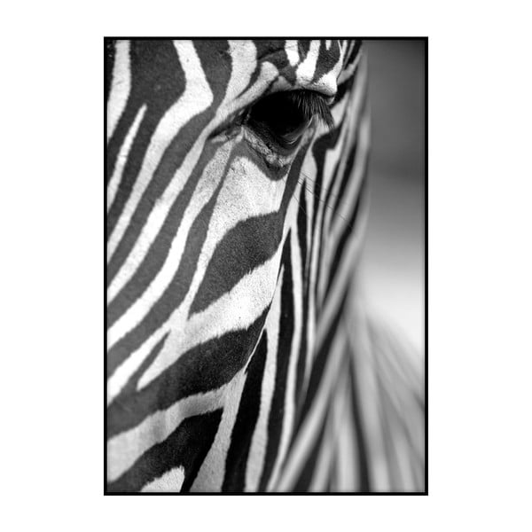 Плакат Текстура на зебра, 40 x 30 cm - Imagioo