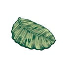 Зелена постелка за баня 60x100 cm Sheet - Foutastic