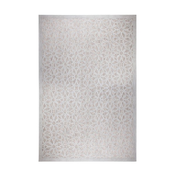 Сив външен килим 230x160 cm Argento - Flair Rugs