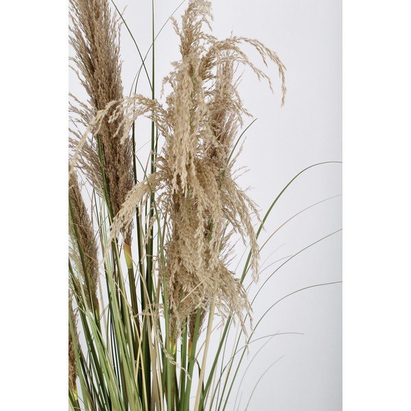 Изкуствено растение (височина 145 cm) Austorderia – Bizzotto-image-3