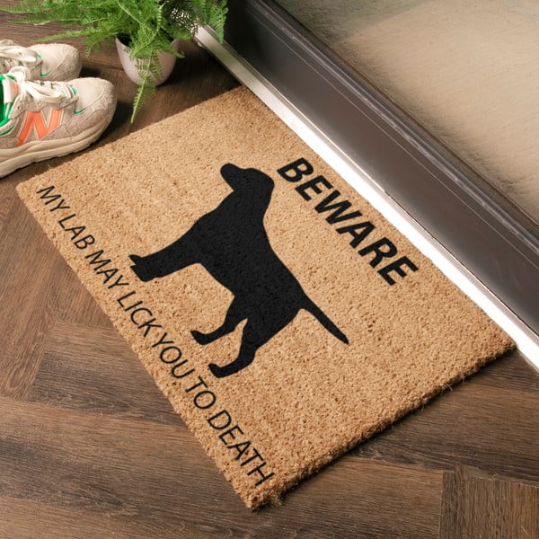 Изтривалка от кокосови влакна 40x60 cm Labrador – Artsy Doormats-image-1