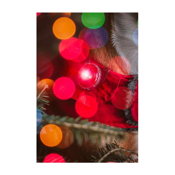 LED светлина за яка Red - Orbiloc-image-4