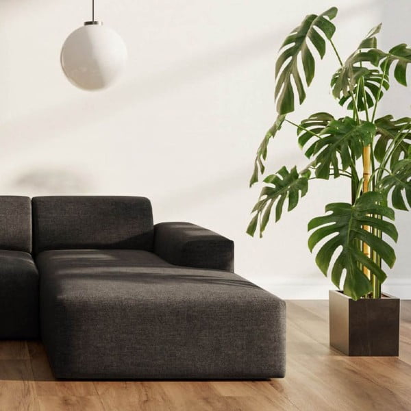 Антрацитен ъглов диван (десен ъгъл) Villet – Rodier-image-3